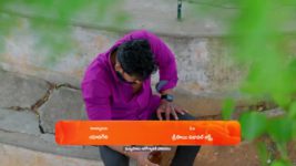 Padamati Sandhyaragam S01 E551 21st June 2024