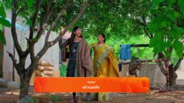 Padamati Sandhyaragam S01 E558 29th June 2024