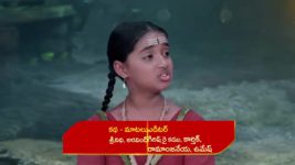 Renuka Yellamma (Star Maa) S01 E376 Shocking News for Indumathi