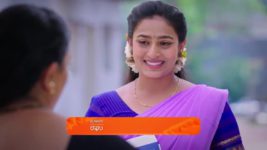 Shravani Subramanya S01 E63 12th June 2024
