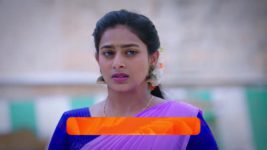 Shravani Subramanya S01 E64 13th June 2024