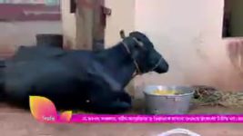 Adorer Chowa S01E109 14th June 2021 Full Episode