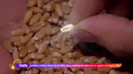 Adorer Chowa S01E281 28th January 2022 Full Episode