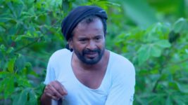 Amma S01E275 1st September 2022 Full Episode