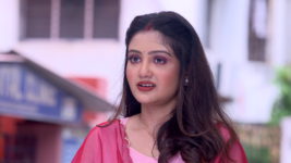 Badhua (Star Jalsha) S01 E102 Ronita Spies on Pekham