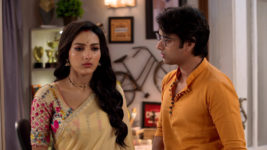 Badhua (Star Jalsha) S01 E117 Pekham to Safeguard Abir?