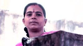 Dil Hai Hindustani Unplugged S01E09 The Wild Card Participants Full Episode Dil Hai Hindustani Unplugged S01E09 The Wild Card Participants Full Episode