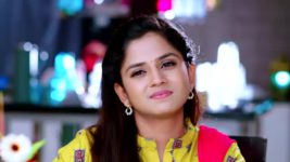 Guppedantha Manasu S01E245 Vasudhara in Love? Full Episode