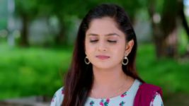 Guppedantha Manasu S01E252 An Advice for Jagathi Full Episode