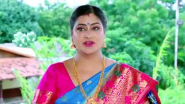 Guppedantha Manasu S01E253 Vasudhara's Impressive Project Full Episode