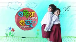 Guriya Jekhane Guddu Sekhane S01E17 Ankush's Secret Plan Full Episode