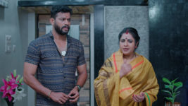 Karthika Deepam S04 E35 Parijatham on a Mission