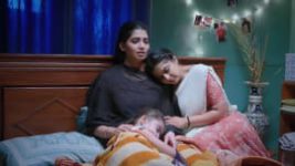 Lakshmi Nivasa S01 E14 1st February 2024