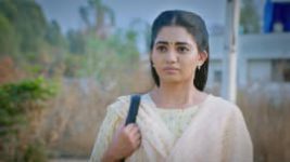 Lakshmi Nivasa S01 E31 26th February 2024