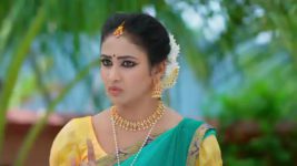 Maguva O Maguva S01 E99 Sindhura's Plea to Dharmayya