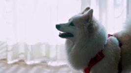 Moving In With Malaika S01 E04 Man, I Look Fabulous