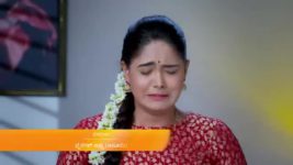 Paaru S01E272 9th December 2019 Full Episode