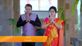 Paaru S01E307 27th January 2020 Full Episode