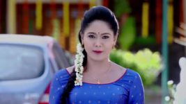 Paaru S01E33 16th January 2019 Full Episode