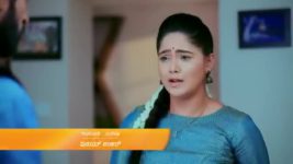 Paaru S01E390 30th June 2020 Full Episode
