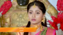 Paaru S01E834 25th February 2022 Full Episode