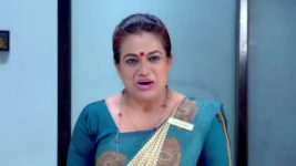 Paaru S01E95 11th April 2019 Full Episode
