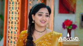Trinayani (Telugu) S01 E1238 14th May 2024