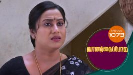 Vanathai Pola S01 E1073 7th June 2024
