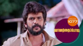Vanathai Pola S01 E1077 12th June 2024