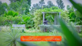 Amruthadhare S01 E333 17th July 2024