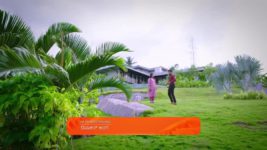Amruthadhare S01 E341 25th July 2024