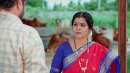 Maa Annaya (Zee Telugu) S01 E111 31st July 2024