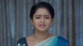 Malli Nindu Jabili S01 E707 Maisamma Protects Her Baby