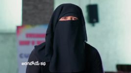 Meghasandesam (Zee Telugu) S01 E41 26th July 2024