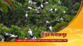 No 1 Didi Na Dada S09 E866 8th July 2024