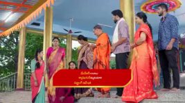 Paape Maa Jeevana Jyothi S01 E1004 Yamini Taunts Indumathi, Jeevana