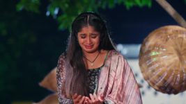 Padamati Sandhyaragam S01 E560 2nd July 2024