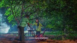 Padamati Sandhyaragam S01 E563 5th July 2024
