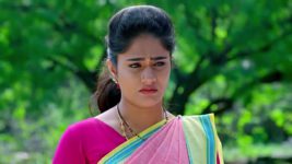 Radhamma Kuthuru S01 E1461 17th July 2024
