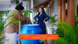 Shravani Subramanya S01 E87 16th July 2024