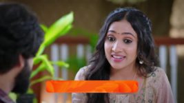 Shravani Subramanya S01 E88 17th July 2024