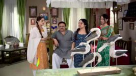 Tumi Ashe Pashe Thakle S01 E261 Deb, Parvati Discover the Truth