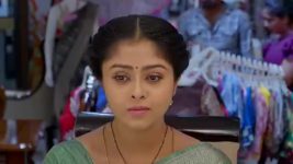 Vantalakka S01 E656 A Task for Varalakshmi, Vishnu