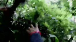 CID S01E1269 Jungle Ka Khooni Khel Full Episode