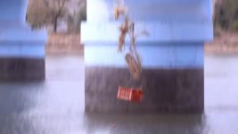 CID S01E1504 Nadi Mein Laash Full Episode