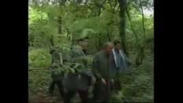 CID S01E282 The Spitting Cobra - Part 2 Full Episode