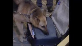 CID S01E290 Howzzat? - Part 2 Full Episode