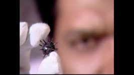 CID S01E549 The World War II Rifle Full Episode