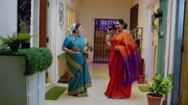 Ennenno Janmala Bandham S01E253 Abhimanyu Provokes Malavika Full Episode