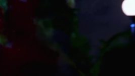 Jamai Raja S01E542 25th July 2016 Full Episode